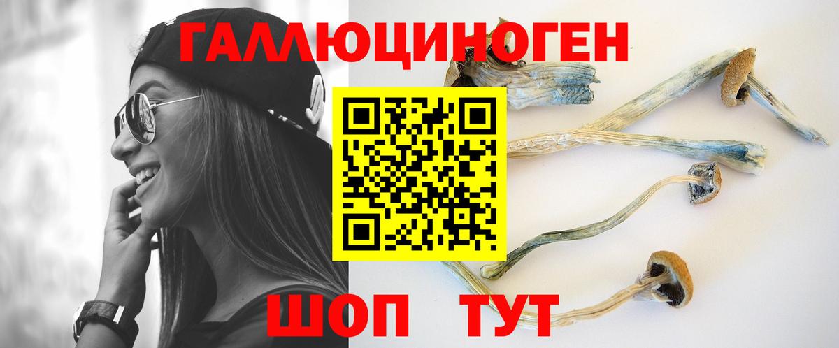 Галлюциногенные грибы Psilocybine cubensis  Вход с VPN  купить закладку  Артёмовский 